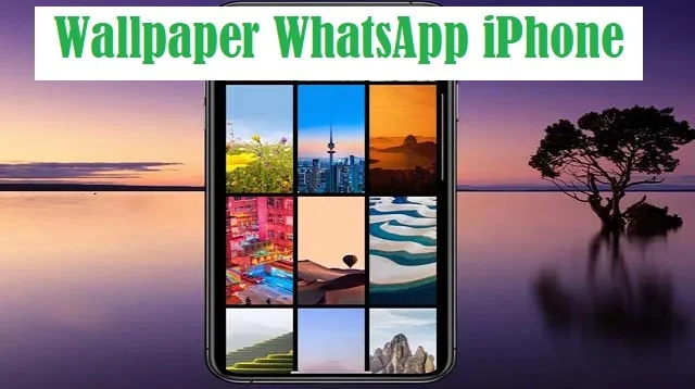 Wallpaper WhatsApp iPhone