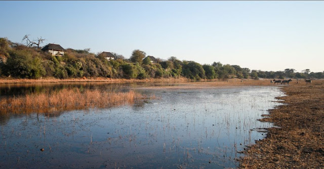 Boteti River in July 2020 - Botswana