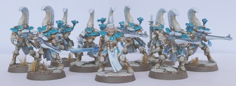 Dire Avengers