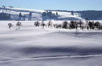 winter snowscape