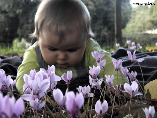 photographie d'un enfants, allonger dans les fleurs, en couleurs, travail du flou et des differents plan