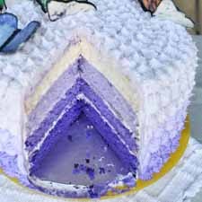 foto ombre cake 4