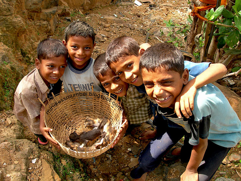 kids playing with kittens in mumbai