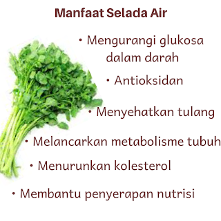 Manfaat selada air