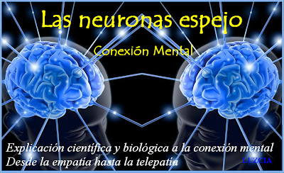 <b>Neuronas-Espejo-explicacion- teoria-Localizacion-Empatia-Telepatia-Redes-Eduard-Punset-Marco-Iacoboni-VIDEO-celulas-caracteristicas-emociones-autismo-mente</b>