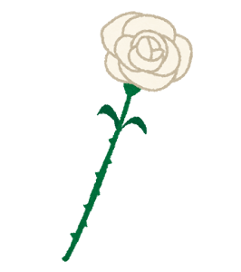 いろいろな一輪のバラの花のイラスト（白）