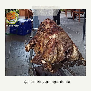 Kambing Guling Muda, Kambing Guling Muda Cikampek Karawang, Supplier Kambing Guling, Supplier Kambing Guling Muda, Supplier Kambing Guling Muda Cikampek, Supplier Kambing Guling Muda Cikampek Karawang