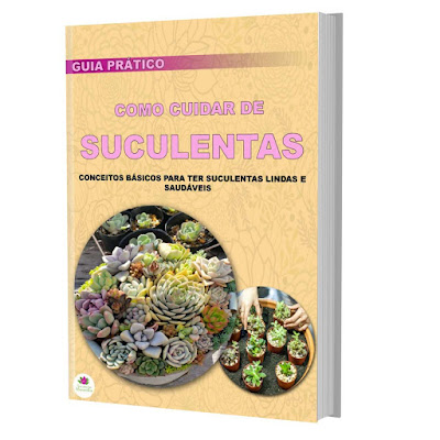 E-book Completo Suculentas Coloridas
