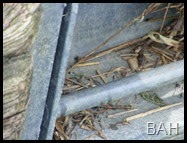 DSCF5090