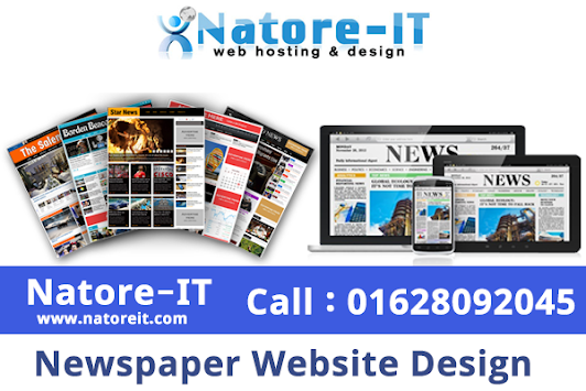 Newspaper Website Design