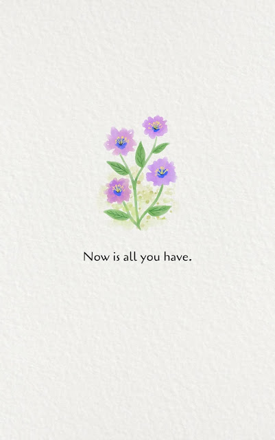 Inspirational Motivational Quotes Cards #7-18 Now is all you have. 