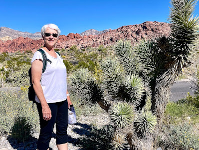 a variety of cactus