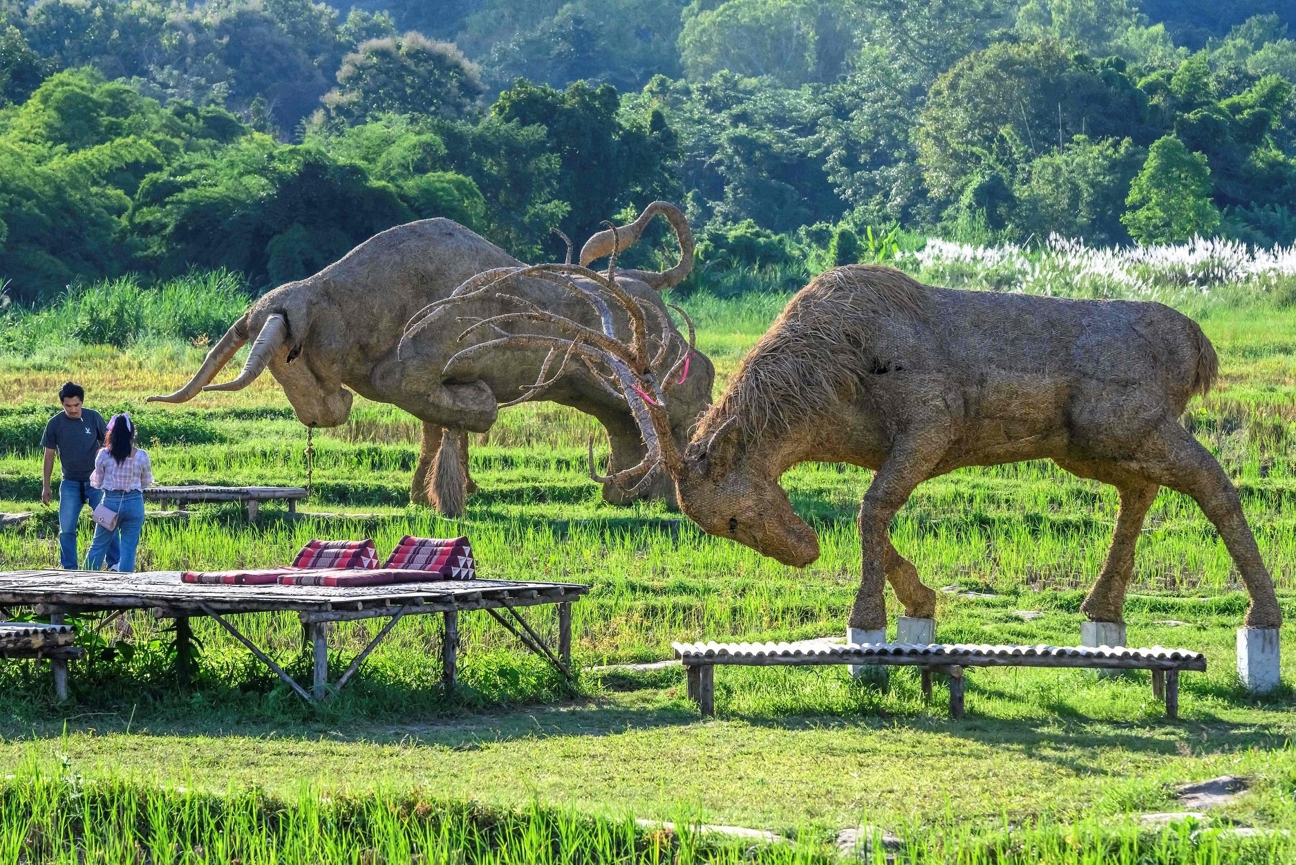 Amusement park full of rice straw