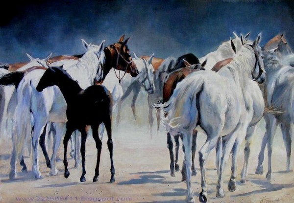 Horses