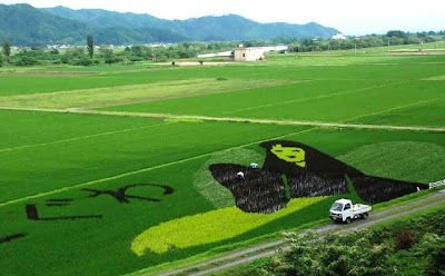 Japanese Rice Paddy Art 2010