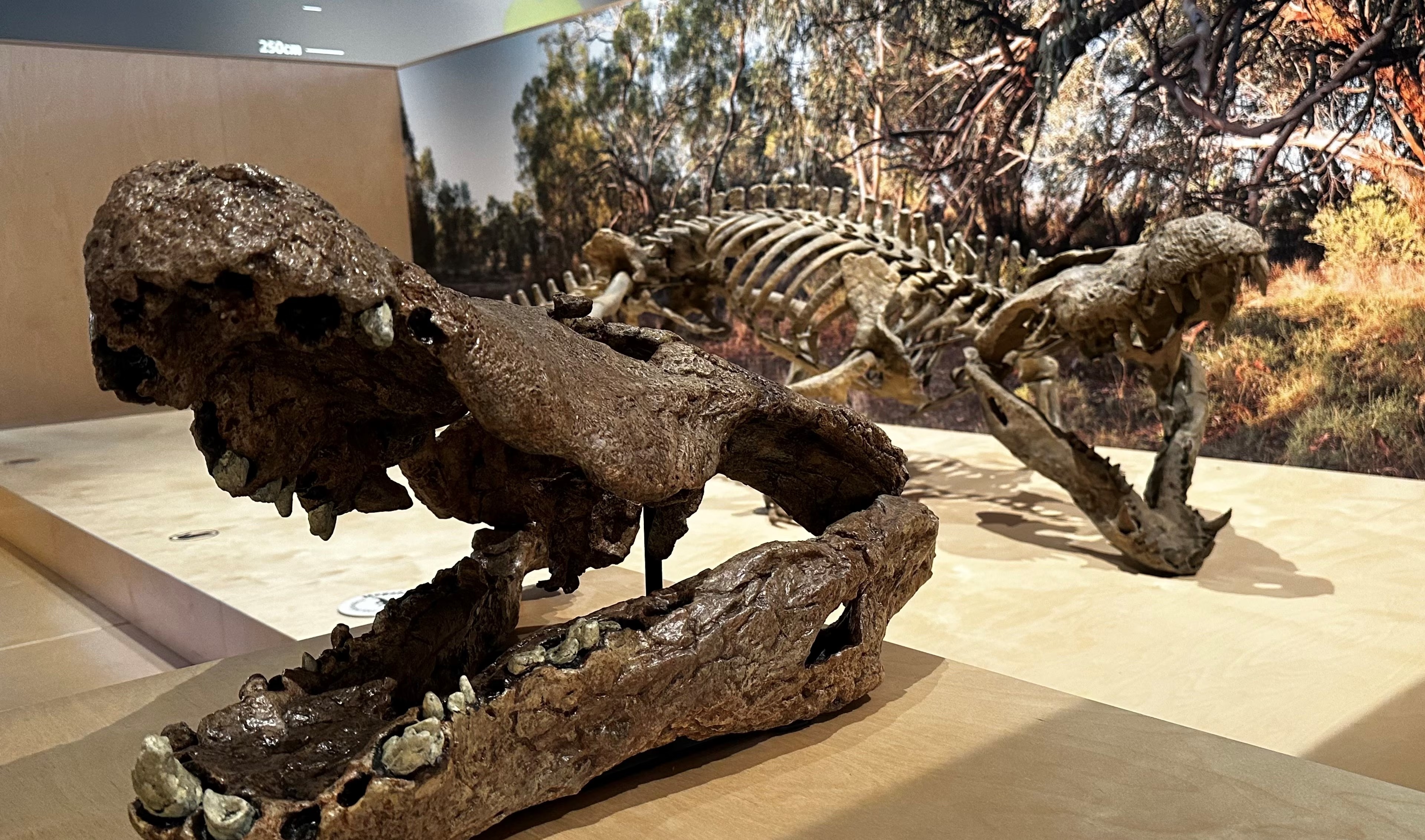 Предки современных рептилий. Доисторический крокодил. Современные рептилии. Огромный доисторический крокодил. Самый большой ископаемый крокодил.