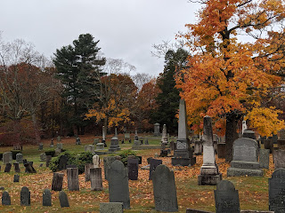 a photo from walking around the grey day that Oct 29 was in Franklin