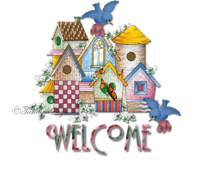BirdhouseWelcome252Dvi-vi