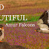 The Bold & The Beautiful Amur Falcons