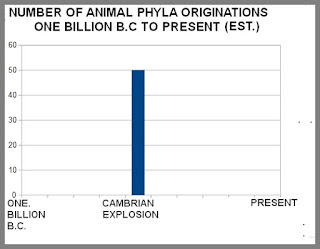 cambrian explosion