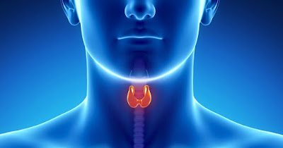 Complications of Hypothyroidism | Wellness Clinic