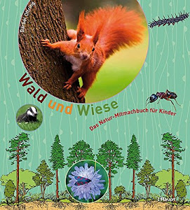 Wald und Wiese: Das Natur-Mitmachbuch für Kinder