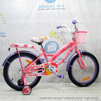 Sepeda Anak Wimcycle Disney Princess 18 Inci New