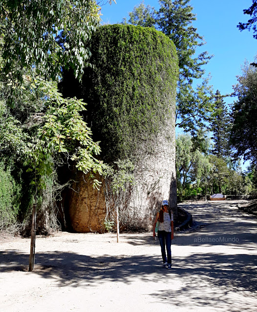 a Bella e o Mundo - Jardim Público de Évora