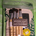 EcoTools Eye Brush Set: Eco-Chic and Fabulous!