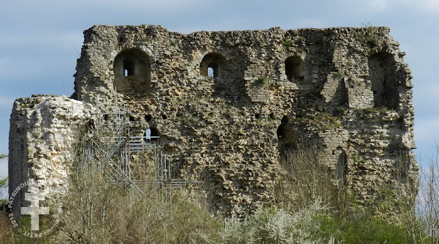 VAUDEMONT (54) - Donjon des comtes de Vaudémont