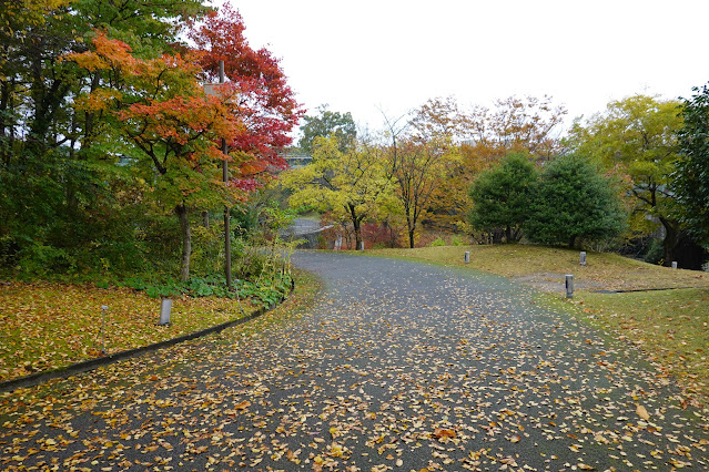 鳥取県西伯郡南部町鶴田　とっとり花回廊