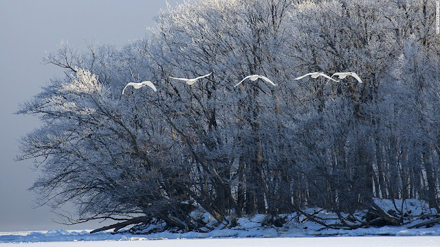 Lake Kussharo (Hokkaido)