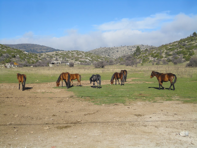 03-04.11.2018 - Κοπτόεν Ξίφος 2