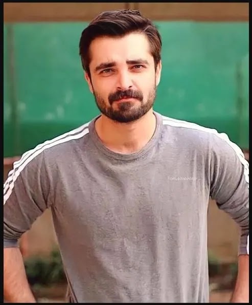 Hamza Ali Abbasi