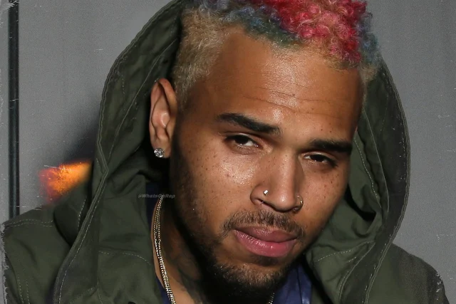 Chris Brown gets into another physical altercation today, this time during Missy Elliott’s set at the “Lovers & Friends” concert.   This comes a day after he fought Usher.