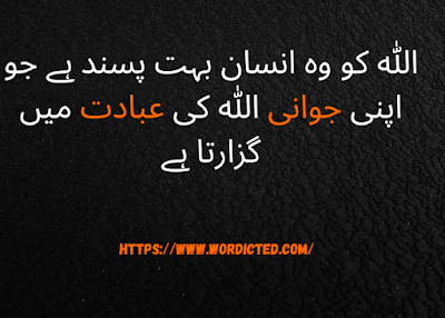 Best Islamic Quotes in Urdu Text Copy Paste With Images