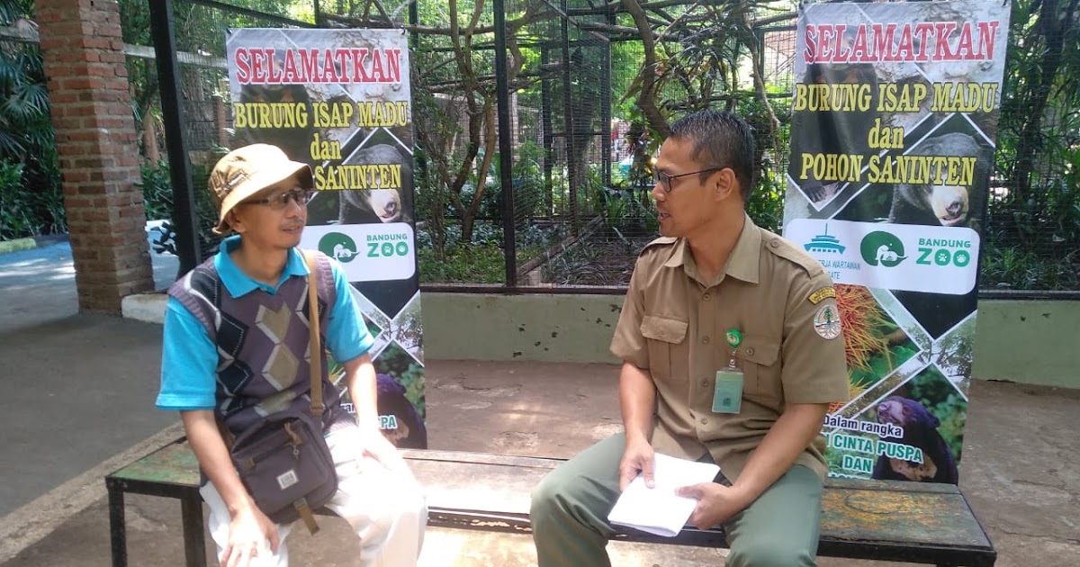 Meski Dilindungi Burung Isap Madu Masih Banyak 