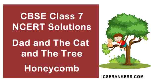 NCERT Solutions for Class 7th English Poem Dad and The Cat and The Tree