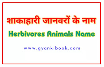 Herbivores Animals Name List In Hindi