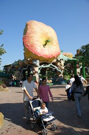 DSC01356