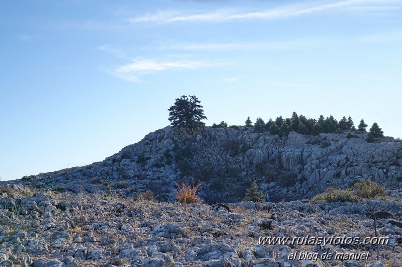 La Hidalga - Cerro Frío - Cancho de la Pitarra - Carramolo del Queso