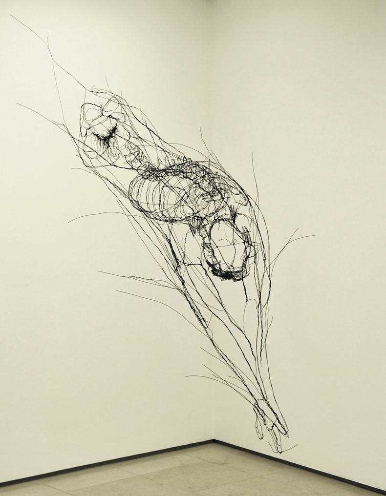 David-Oliveira-12
