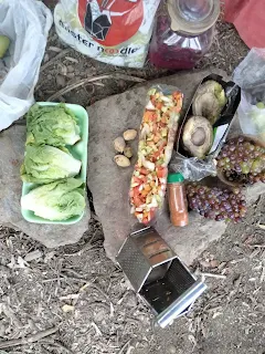 Salad, lettuce, avocado, grapes and the glass of lacto fermentation on flat stones on the ground