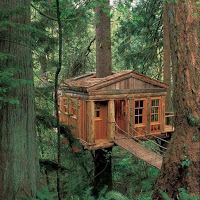 30 casas en el arbol geniales