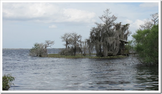 2016-03-13 Florida, Blue Cypress Lake - Scenes (1)