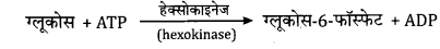 Solutions Class 11 जीव विज्ञान Chapter-9 (जैव अणु)