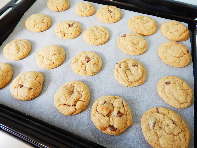 chocolate chip cookie