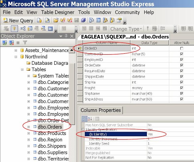 FAQ: MS SQL Server - How to generate a number automatically for the Primary Key when inserting a record?