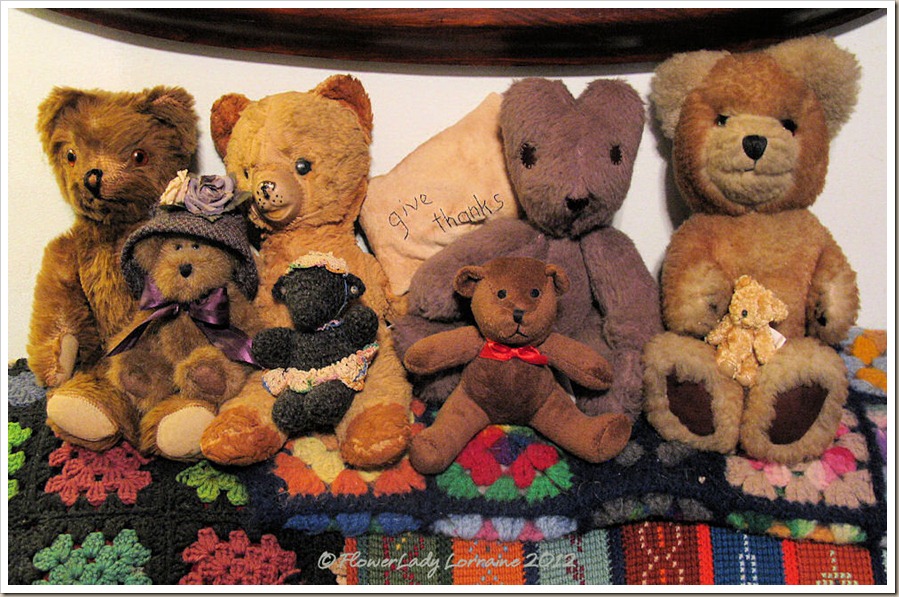 12-17-teddies
