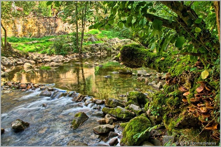 DSC_1187-HDR(3)